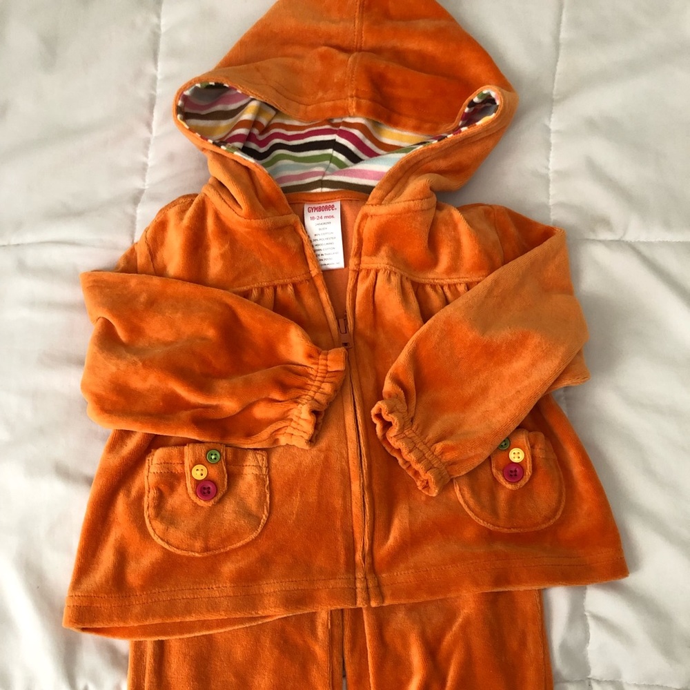 Pumpkin patch velour set, girls size 18-24 mo. Gymboree